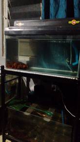 2ft aquarium