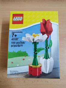 40187 Flower Display