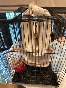Sugar Glider Mosaic Heart *rare*