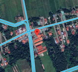 Residential Land in Selinsing, PRK