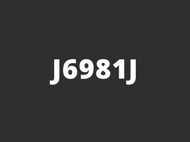 J6981J