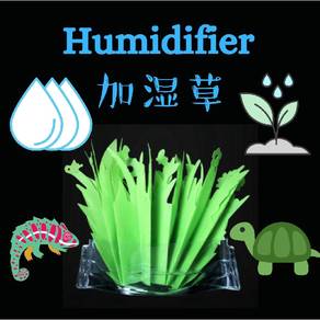 Nomoypet Humidifier