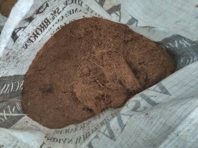 Sabut kelapa halus cocopeat tanaman media