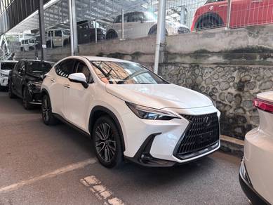 Lexus NX 250 VERSION L in Seremban, NSN