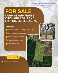 Agricultural Land in Mantin, NSN