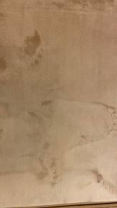 carpet 2 pieces