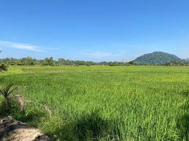 Residential Land in Kota Bharu, KTN