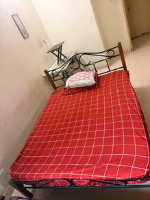 iron cot and matrices (queen size)