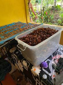 Asam keping