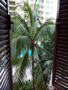 Service Residence For Sale in Sri Acappella Serviced Apartments