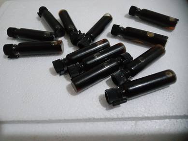 parfum minyak wangi kasturi Siberian
