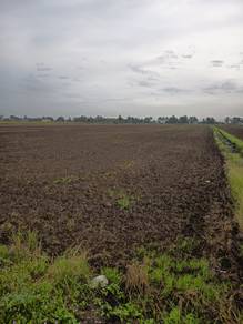 Agricultural Land in Sungai Besar, SGR