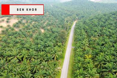 Industrial Land in Baling, KDH