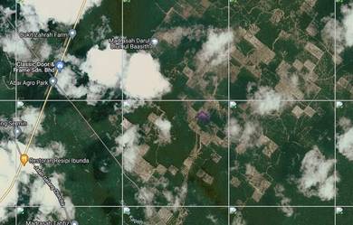 Agricultural Land in Segamat, JHR