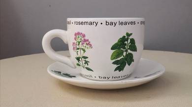 Cup saucer planter pot