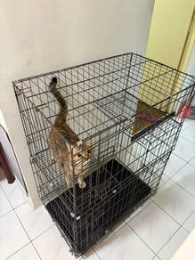 Sangkar Kucing