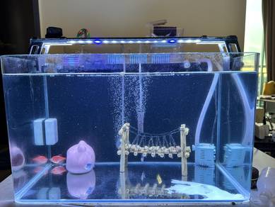 Full Set Aquarium 50cm x 27cm x 30cm