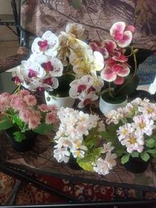 small plastic flowers 3 pcs 