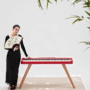 Hailun PIANOVA HD-300 Portabble Digital Piano