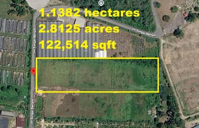 Agricultural Land in Batang Kali, SGR