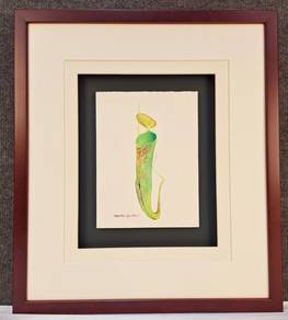 Framed Watercolor Botanical – Nepenthes Gracillima