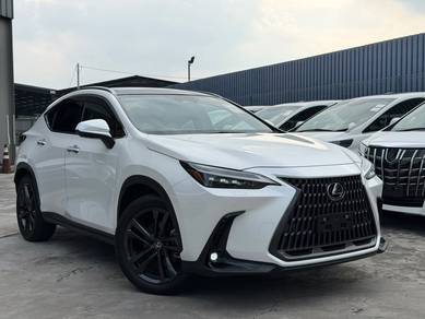 Lexus NX 250 LUXURY in Chan Sow Lin, KUL