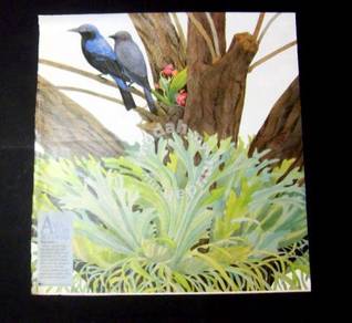 Asian Fairy Bluebird World Wildlife Msia - 80s