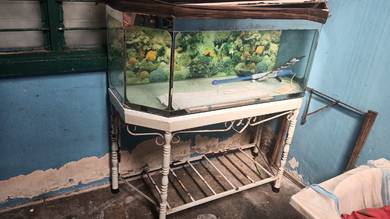 aquarium 4ft 
