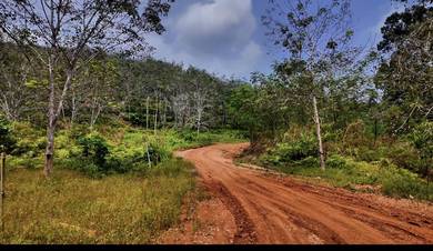 Agricultural Land in Kuala Krai, KTN