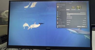 21” Gaming monitor