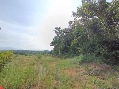 Agricultural Land in Slim River, PRK