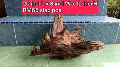 kayu hiasan aquascape tank