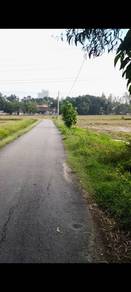 Agricultural Land in Seberang Perai, PNG