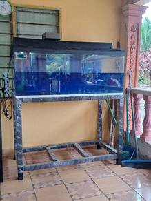 Aquarium 4 kaki