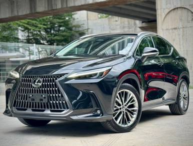 Lexus NX 250 LUXURY in Cheras, KUL