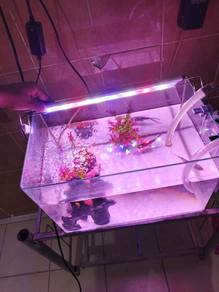 fish tank for sell