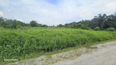 Agricultural Land in Nibong Tebal, PNG