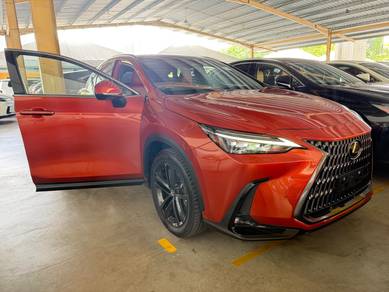2023 Lexus NX 250 LUXURY
