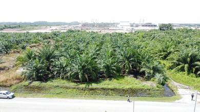Agricultural Land in Jenjarom, SGR