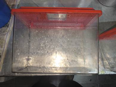 Aquarium 30 cm 