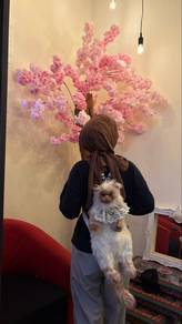 cat backbag