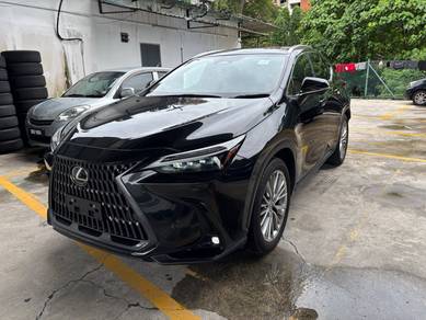2023 Lexus NX 250 LUXURY