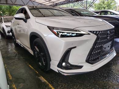Lexus NX 250 LUXURY in Cheras, KUL