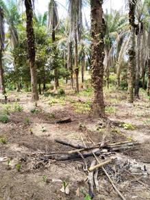 Agricultural Land in Rawang, SGR