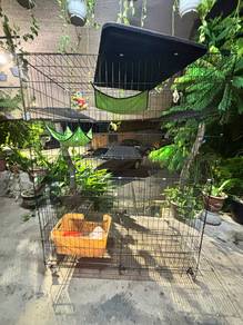 Sangkar Untuk Dilepaskan🐱