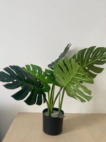 Monstera Hiasan (plastik) dengan Plant Pot IKEA