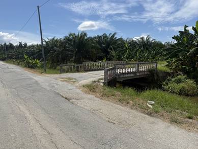Agricultural Land in Bagan Datoh, PRK