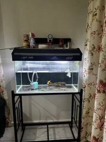 aquarium 2.5kaki
