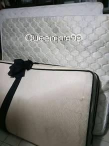tilam Queen reborn