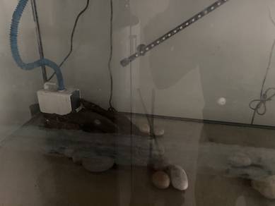 Akuarium 3Feet/2Feet